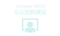 企業(yè)官方網站(zhàn)建設